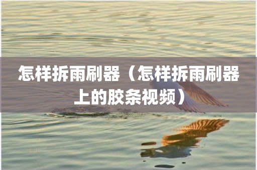 怎样拆雨刷器（怎样拆雨刷器上的胶条视频）
