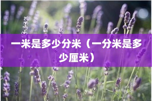 一米是多少分米（一分米是多少厘米）