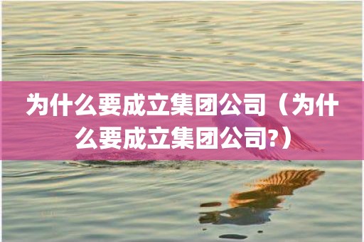 为什么要成立集团公司（为什么要成立集团公司?）