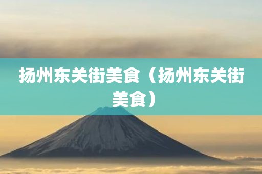 扬州东关街美食（扬州东关街 美食）