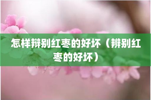 怎样辩别红枣的好坏（辨别红枣的好坏）