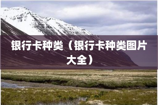 银行卡种类（银行卡种类图片大全）