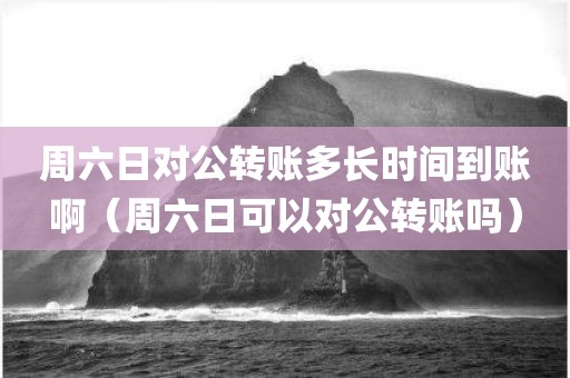 周六日对公转账多长时间到账啊（周六日可以对公转账吗）