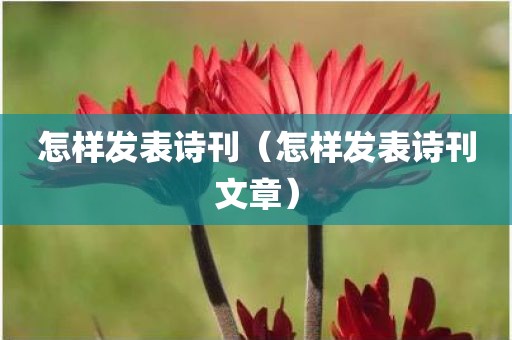 怎样发表诗刊(怎样发表诗刊文章)