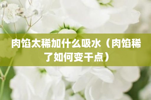 肉馅太稀加什么吸水（肉馅稀了如何变干点）