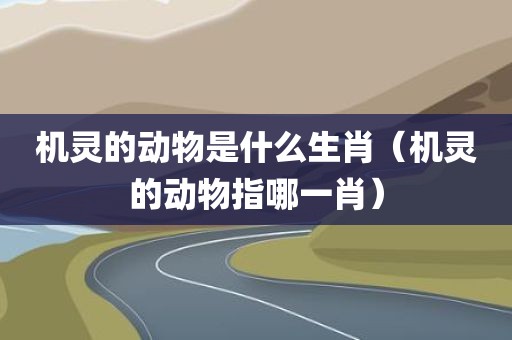 机灵的动物是什么生肖（机灵的动物指哪一肖）