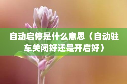 自动启停是什么意思（自动驻车关闭好还是开启好）