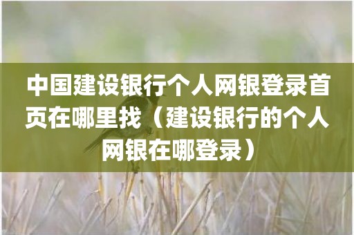 中国建设银行个人网银登录首页在哪里找（建设银行的个人网银在哪登录）