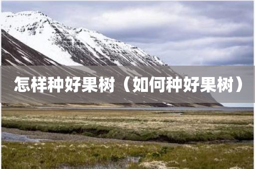 怎样种好果树（如何种好果树）