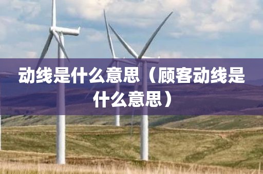 动线是什么意思（顾客动线是什么意思）