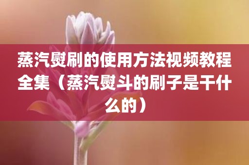 蒸汽熨刷的使用方法视频教程全集（蒸汽熨斗的刷子是干什么的）