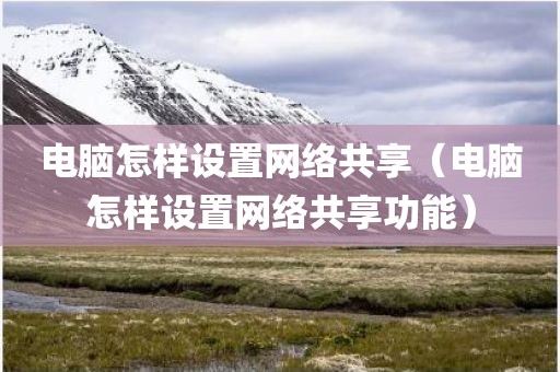电脑怎样设置网络共享（电脑怎样设置网络共享功能）