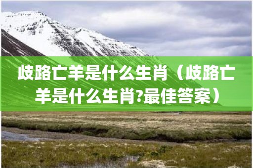 歧路亡羊是什么生肖（歧路亡羊是什么生肖?最佳答案）