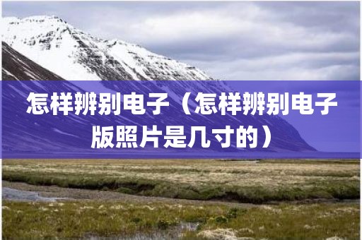 怎样辨别电子（怎样辨别电子版照片是几寸的）