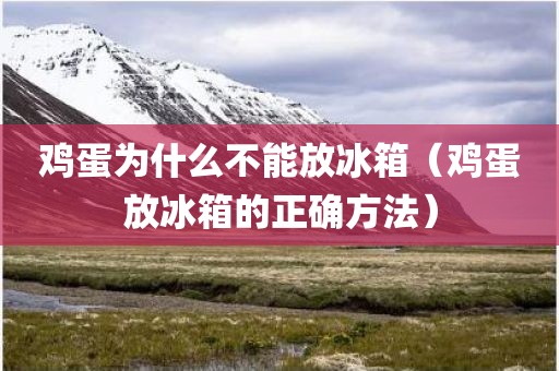鸡蛋为什么不能放冰箱(鸡蛋放冰箱的正确方法)