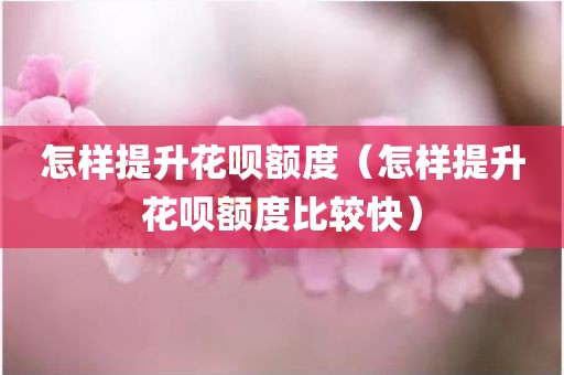 怎样提升花呗额度（怎样提升花呗额度比较快）
