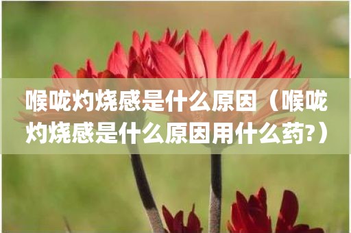 喉咙灼烧感是什么原因（喉咙灼烧感是什么原因用什么药?）