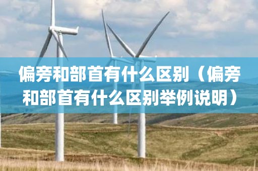 偏旁和部首有什么区别（偏旁和部首有什么区别举例说明）