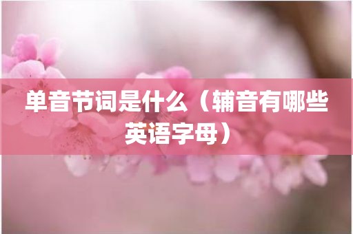 单音节词是什么（辅音有哪些英语字母）