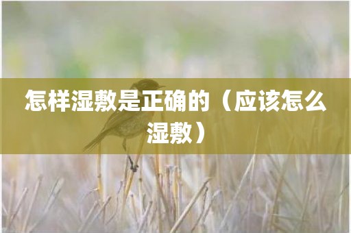 怎样湿敷是正确的（应该怎么湿敷）