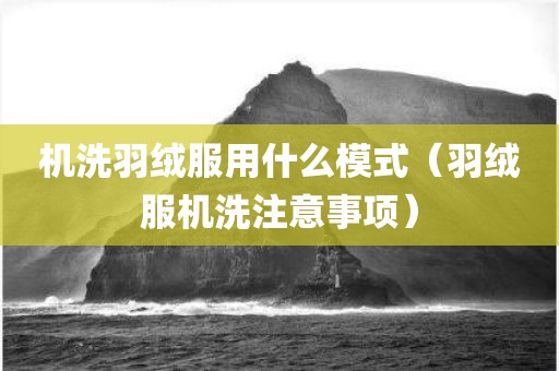 机洗羽绒服用什么模式（羽绒服机洗注意事项）