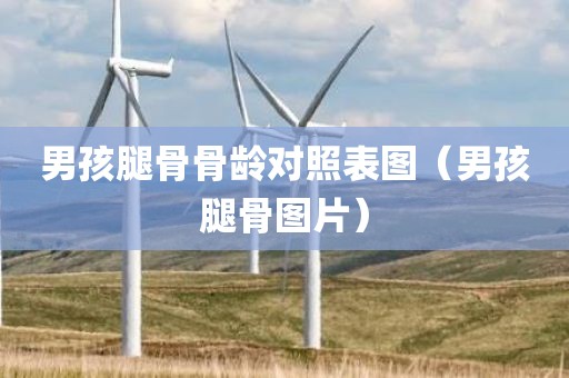 男孩腿骨骨龄对照表图（男孩腿骨图片）