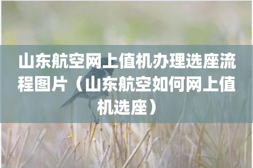 山东航空网上值机办理选座流程图片(山东航空如何网上值机选座)