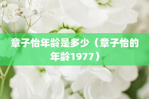 章子怡年龄是多少（章子怡的年龄1977）