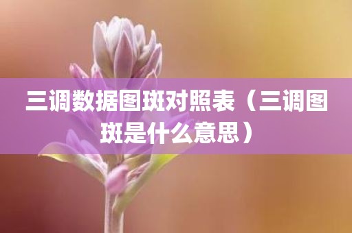 三调数据图斑对照表（三调图斑是什么意思）