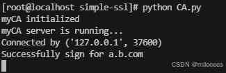 python实现简易SSL的项目实践