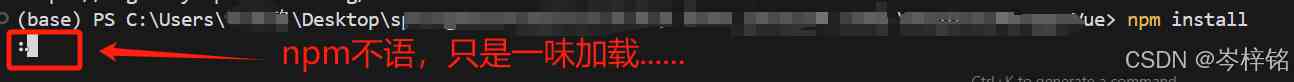 vue项目npm&nbsp;install失败的问题解决方案